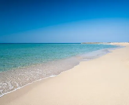 Gæstehus Butterfly Salve