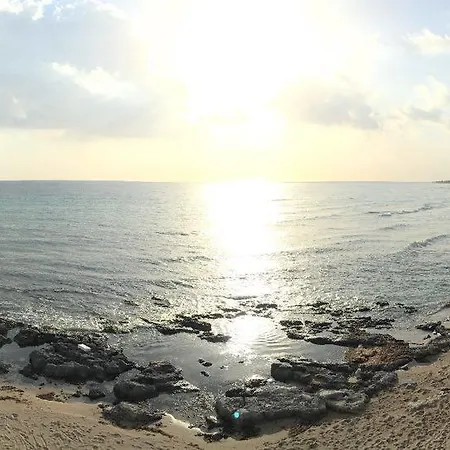 Maison d'hôtes Butterfly *