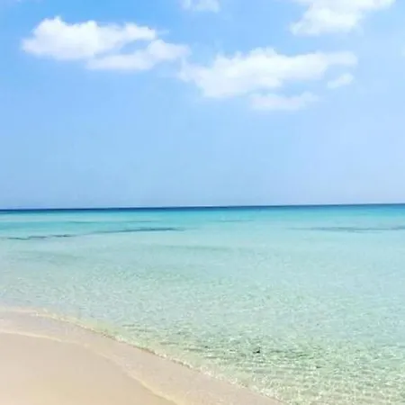 Butterfly Maison d'hôtes