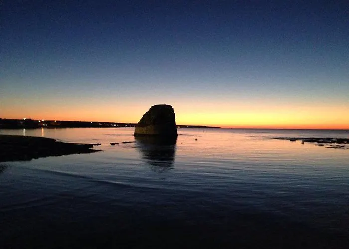 Gæstehus Butterfly Salve